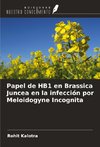 Papel de HB1 en Brassica Juncea en la infección por Meloidogyne Incognita