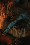 The Fox and Dragon (Paranormal)