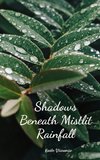 Shadows Beneath Mistlit Rainfall