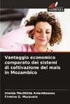 Vantaggio economico comparato dei sistemi di coltivazione del mais in Mozambico