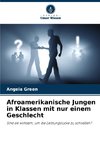 Afroamerikanische Jungen in Klassen mit nur einem Geschlecht