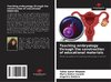 Teaching embryology through the construction of educational materials