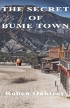 Secret of Bume Town