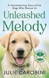 Unleashed Melody