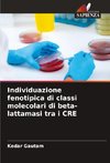 Individuazione fenotipica di classi molecolari di beta-lattamasi tra i CRE