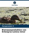 Biomasseproduktion von Entengras Lemna minor