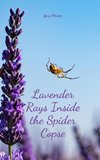 Lavender Rays Inside the Spider Copse