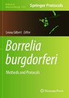 Borrelia burgdorferi