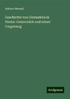 Geschichte von Gutenstein in Nieder-Oesterreich und seiner Umgebung