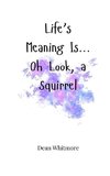 Life's Meaning Is... Oh Look, a Squirrel