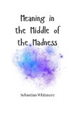 Meaning in the Middle of the Madness