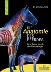 Die Anatomie des Pferdes