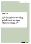 Die Bedeutung der interkulturellen Pädagogik am Beispiel der beruflichen Beratung von Jugendlichen mit Migrationshintergrund in der Bundesagentur für Arbeit