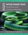 2025 Wood Snake Year