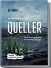 Nordseekrimi Queller: Ein mitreißender Küstenkrimi mit spannenden Ermittlungen an der Nordsee - Krimi Empfehlung