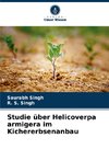 Studie über Helicoverpa armigera im Kichererbsenanbau