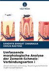 Umfassende morphologische Analyse der Zement-Schmelz-Verbindungsarten i