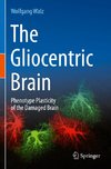 The Gliocentric Brain