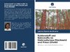 Kohlenstoff und Nährstoffe im Ombrophylous-Mischwald und Pinus Elliottii