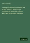 Swinegel's Lebensloop un Enne in'n Staate Muffrika Eene putzige plattdütsche Historie in Dörtein Kapitteln mit Bildern, Schrewen