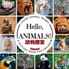 Hello, Animals!