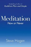 Meditation Now or Never