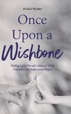 Once Upon a Wishbone