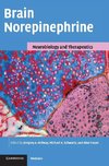 Brain Norepinephrine