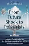 From Future Shock to PolyCrisis