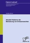 Aktuelle Probleme der Bilanzierung von Emissionsrechten