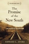 The Promise of the New South