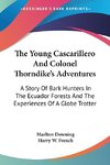 The Young Cascarillero And Colonel Thorndike's Adventures