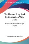The Human Body And Its Connection With Man