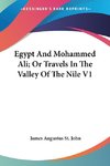 Egypt And Mohammed Ali; Or Travels In The Valley Of The Nile V1