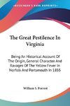 The Great Pestilence In Virginia