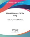 Fibroid Diseases Of The Lung