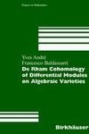 De Rham Cohomology of Differential Modules on Algebraic Varieties