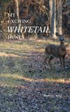 My Exciting Whitetail Hunts