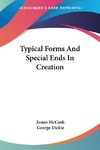 Typical Forms And Special Ends In Creation