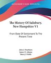 The History Of Salisbury, New Hampshire V1