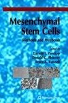 Mesenchymal Stem Cells