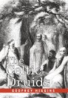 The Celtic Druids