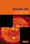 Dynamic Sun