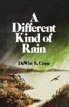 A Different Kind of Rain