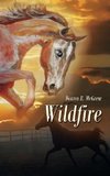 Wildfire