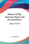 History Of The American Negro And His Institutions