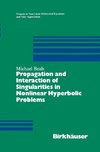 Propagation and Interaction of Singularities in Nonlinear Hyperbolic Problems