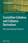 Crystalline Cellulose and Derivatives