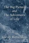 The Big Picture and the Adventures of Life