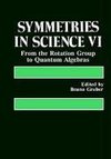 Symmetries in Science VI